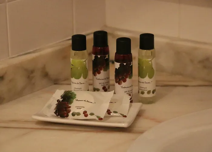 بيت ضيافة Casa Dona Urraca